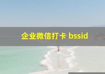 企业微信打卡 bssid